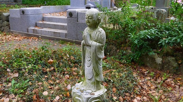 P1020771.jpg